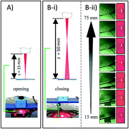 Graphical abstract: Optically-controlled closable microvalves for polymeric centrifugal microfluidic devices