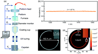 Graphical abstract: Mass production of thin-walled hollow optical fibers enables disposable optofluidic laser immunosensors