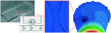 Graphical abstract: Microflow in a rhythmically expanding alveolar chip with dynamic similarity