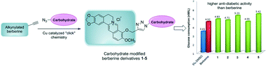 Graphical abstract: Novel carbohydrate modified berberine derivatives: synthesis and in vitro anti-diabetic investigation