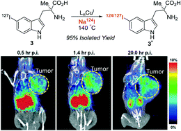 Graphical abstract: Synthesis and initial evaluation of radioactive 5-I-α-methyl-tryptophan: a Trp based agent targeting IDO-1