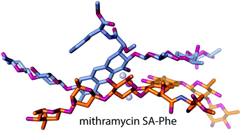 Graphical abstract: How mithramycin stereochemistry dictates its structure and DNA binding function