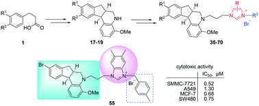 Graphical abstract: Synthesis and antitumor activity of aza-brazilan derivatives containing imidazolium salt pharmacophores