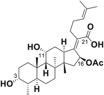 Graphical abstract: Novel antimycobacterial C-21 amide derivatives of the antibiotic fusidic acid: synthesis, pharmacological evaluation and rationalization of media-dependent activity using molecular docking studies in the binding site of human serum albumin