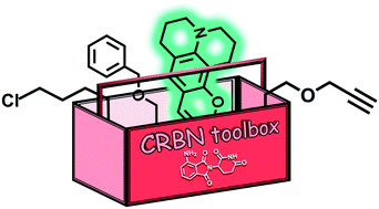 Graphical abstract: A MedChem toolbox for cereblon-directed PROTACs
