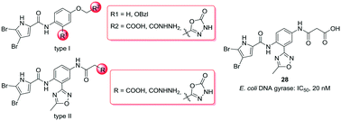 Graphical abstract: New N-phenyl-4,5-dibromopyrrolamides as DNA gyrase B inhibitors