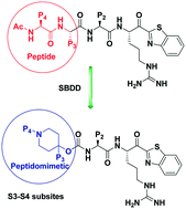 Graphical abstract: Piperidine carbamate peptidomimetic inhibitors of the serine proteases HGFA, matriptase and hepsin