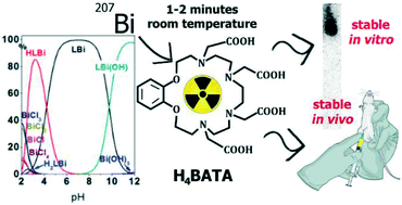 Graphical abstract: Benzoazacrown compound: a highly effective chelator for therapeutic bismuth radioisotopes