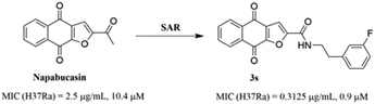 Graphical abstract: Discovery of napabucasin derivatives for the treatment of tuberculosis