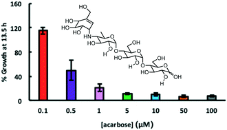 Graphical abstract: Non-lethal growth inhibition by arresting the starch utilization system of clinically relevant human isolates of Bacteroides dorei