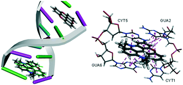 Graphical abstract: The cytotoxic potential of cationic triangulenes against tumour cells