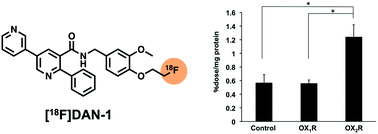 Graphical abstract: Synthesis and characterization of a novel 18F-labeled 2,5-diarylnicotinamide derivative targeting orexin 2 receptor