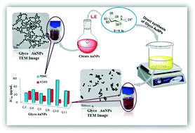 Graphical abstract: Development and characterization of functionalized glyco thiolate capped gold nanoparticles for biological applications