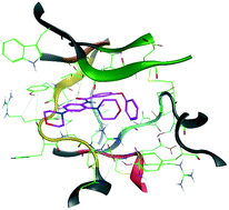 Graphical abstract: Synthetic inhibitor leads of human tropomyosin receptor kinase A (hTrkA)