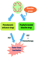 Graphical abstract: A promising anticancer drug: a photosensitizer based on the porphyrin skeleton