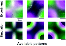 Graphical abstract: Programmable reactions and diffusion using DNA for pattern formation in hydrogel medium