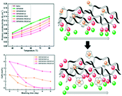 Graphical abstract: Dual sulfonated poly(arylene ether ketone) membrane grafted with 15-crown-5-ether for enhanced proton conductivity and anti-oxidation stability