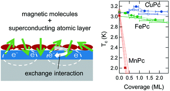 Graphical abstract: Persistent superconductivity in atomic layer-magnetic molecule van der Waals heterostructures: a comparative study