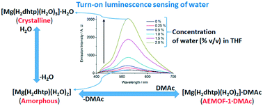 Graphical abstract: Unravelling the mechanism of water sensing by the Mg2+ dihydroxy-terephthalate MOF (AEMOF-1′)