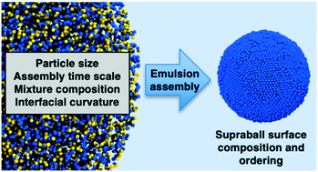 Graphical abstract: Surface composition and ordering of binary nanoparticle mixtures in spherical confinement