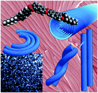 Graphical abstract: Heliconical-layered nanocylinders (HLNCs) – hierarchical self-assembly in a unique B4 phase liquid crystal morphology