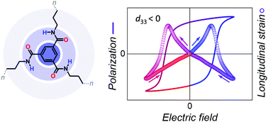 Graphical abstract: Negative piezoelectric effect in an organic supramolecular ferroelectric