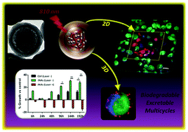 Graphical abstract: Photothermal effect by NIR-responsive excretable ultrasmall-in-nano architectures