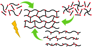 Graphical abstract: Chemistries and capabilities of photo-formable and photoreversible crosslinked polymer networks