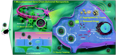 Graphical abstract: Switchable nanoparticle for programmed gene-chem delivery with enhanced neuronal recovery and CT imaging for neurodegenerative disease treatment