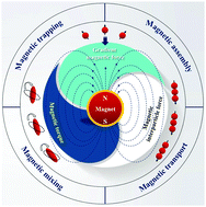 Graphical abstract: Recent advances in manipulation of micro- and nano-objects with magnetic fields at small scales