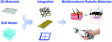 Graphical abstract: Recent advances in integration of 2D materials with soft matter for multifunctional robotic materials