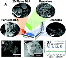 Graphical abstract: Mapping mechanisms and growth regimes of magnesium electrodeposition at high current densities