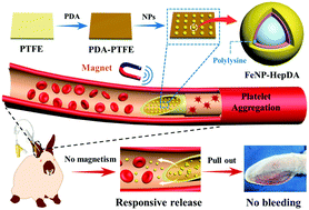 Graphical abstract: A smart indwelling needle with on-demand switchable anticoagulant and hemostatic activities