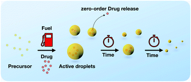 Graphical abstract: Active droplets in a hydrogel release drugs with a constant and tunable rate