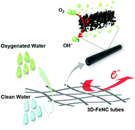 Graphical abstract: Unprecedented capacitive deionization performance of interconnected iron–nitrogen-doped carbon tubes in oxygenated saline water