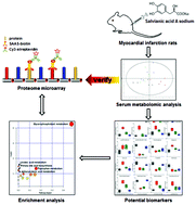 Graphical abstract: Cardioprotective mechanism study of salvianic acid A sodium based on a proteome microarray approach and metabolomic profiling of rat serum after myocardial infarction