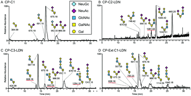 Graphical abstract: Recombinant mucin-type proteins carrying LacdiNAc on different O-glycan core chains fail to support H. pylori binding