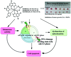 Graphical abstract: Complexes of lanthanides(iii) with mixed 2,2′-bipyridyl and 5,7-dibromo-8-quinolinoline chelating ligands as a new class of promising anti-cancer agents