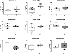 Graphical abstract: Characterising the brain metalloproteome in Down syndrome patients with concomitant Alzheimer's pathology