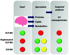 Graphical abstract: Expanding beyond ICP-MS to better understand selenium biochemistry