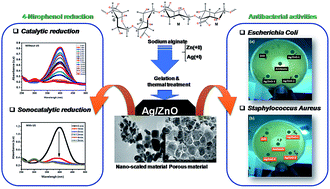 Graphical abstract: Highly efficient catalytic/sonocatalytic reduction of 4-nitrophenol and antibacterial activity through a bifunctional Ag/ZnO nanohybrid material prepared via a sodium alginate method