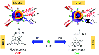 Graphical abstract: Development of near-infrared sensitized core–shell–shell upconverting nanoparticles as pH-responsive probes