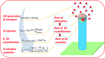 Graphical abstract: Propagation of amorphous oxide nanowires via the VLS mechanism: growth kinetics