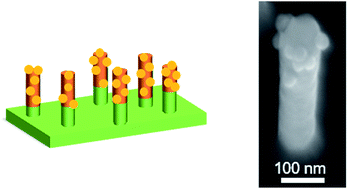 Graphical abstract: Spatioselective functionalization of gold nanopillar arrays