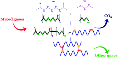 Graphical abstract: A stable polymeric chain configuration producing high performance PEBAX-1657 membranes for CO2 separation