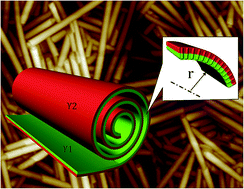 Graphical abstract: Organic nanotubes created from mesogenic derivatives