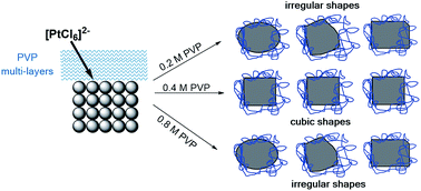 Graphical abstract: The role of polyvinylpyrrolidone (PVP) as a capping and structure-directing agent in the formation of Pt nanocubes