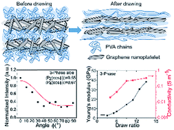 Graphical abstract: In situ alignment of graphene nanoplatelets in poly(vinyl alcohol) nanocomposite fibers with controlled stepwise interfacial exfoliation