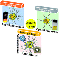 Graphical abstract: Core-in-cage structure regulated properties of ultra-small gold nanoparticles