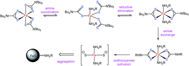 Graphical abstract: Fe(ii) and Fe(iii) dithiocarbamate complexes as single source precursors to nanoscale iron sulfides: a combined synthetic and in situ XAS approach